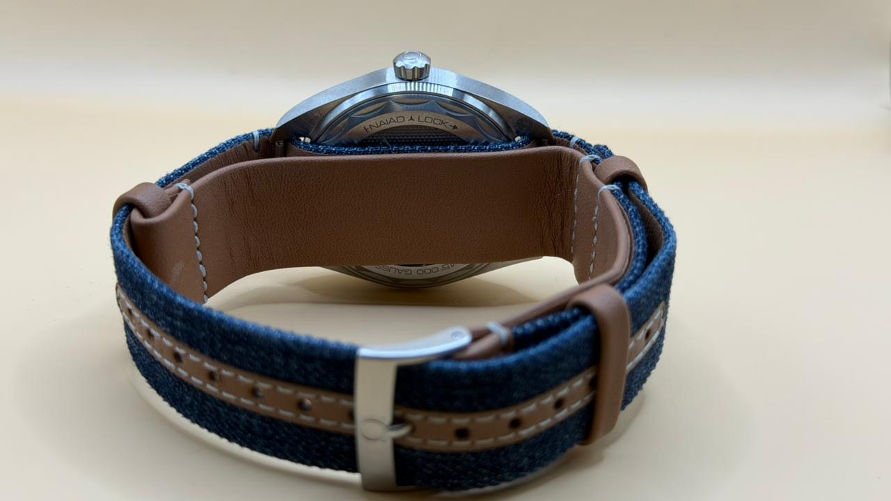 Omega Railmaster