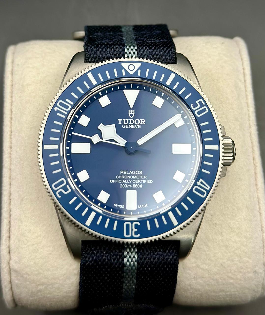 Tudor Blackbay FXD