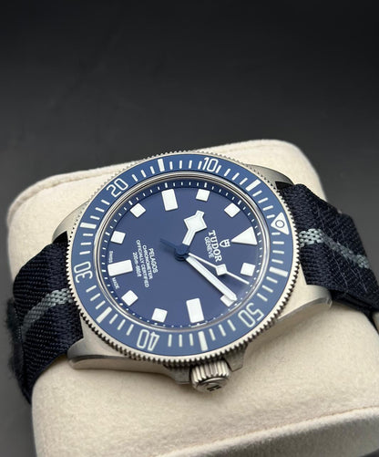 Tudor Blackbay FXD