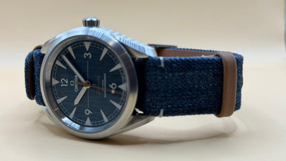 Omega Railmaster